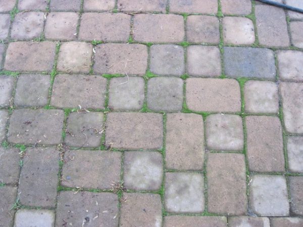 Tumbled cobble pavers with grass growing through the joints
