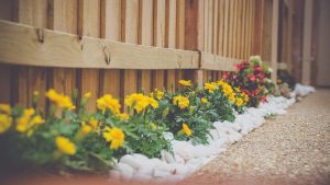 Flower bed of yellow and red blooms edged with white stones against a wooden fence