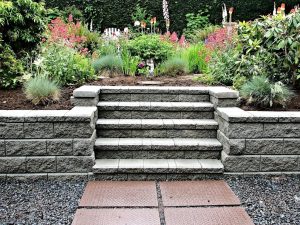 Steps set into a garden retaining wall between flowering borders
